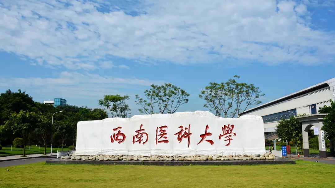 <b>西南医科大学</b>